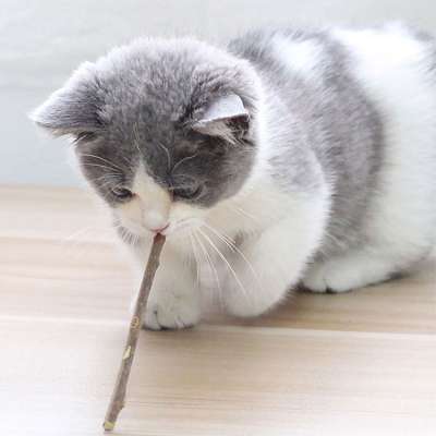 Wholesale Cat Snacks Cat Molar Stick Natural Wood Gnawing Teeth Tease Cat Toy